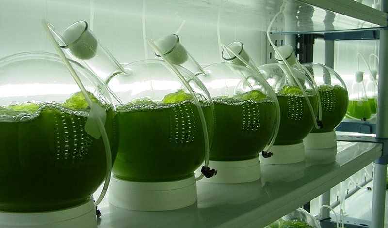 General Lab Equipment in Industry & Environmental Protection